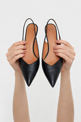 Scrape Ballerina a punta